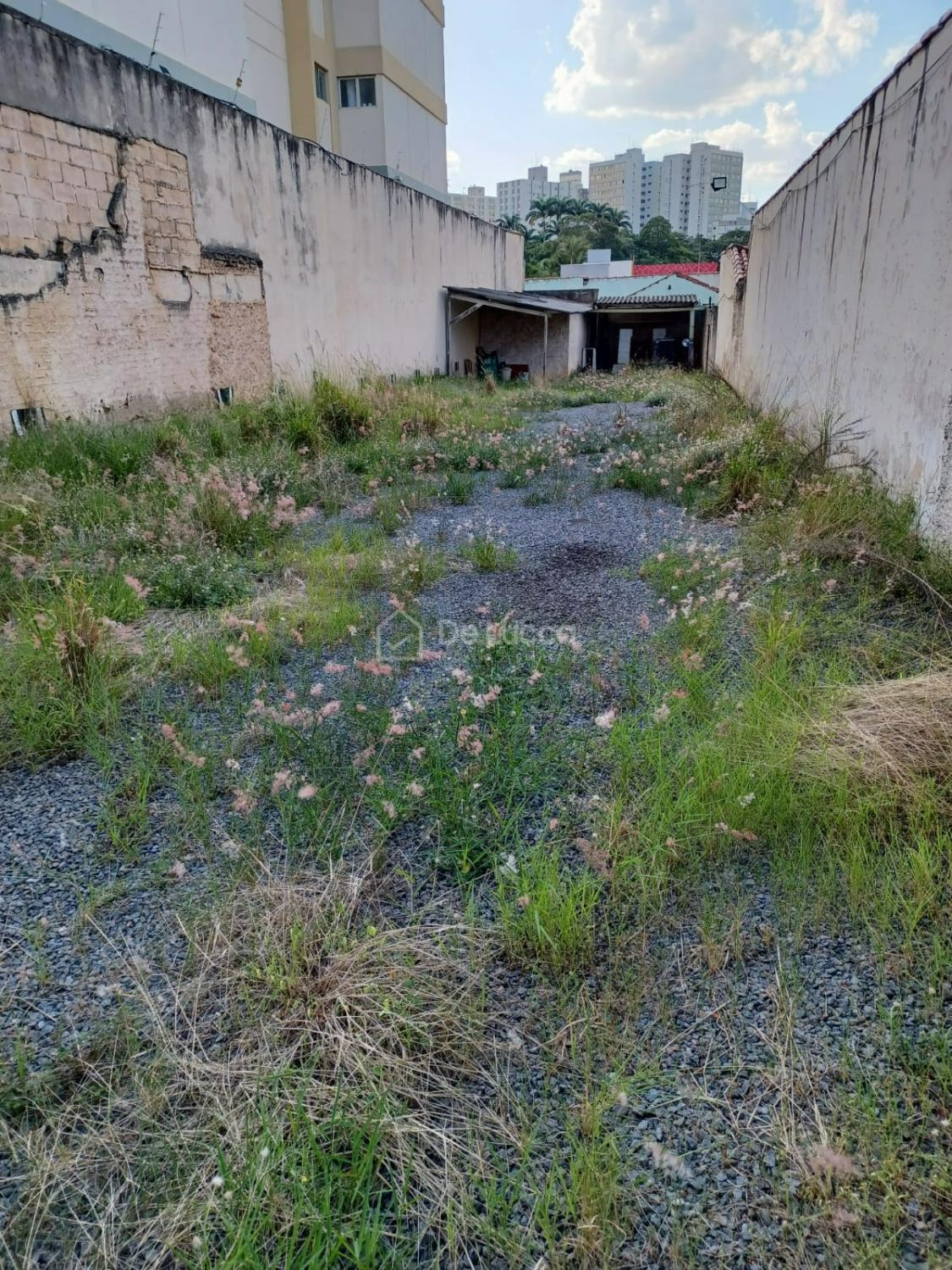 Terreno à venda no Bosque em Campinas De Lucca Imóveis