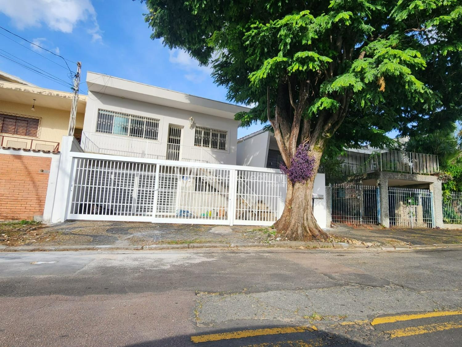 CA186175 | Casa venda aluguel Vila Marieta | Campinas/SP