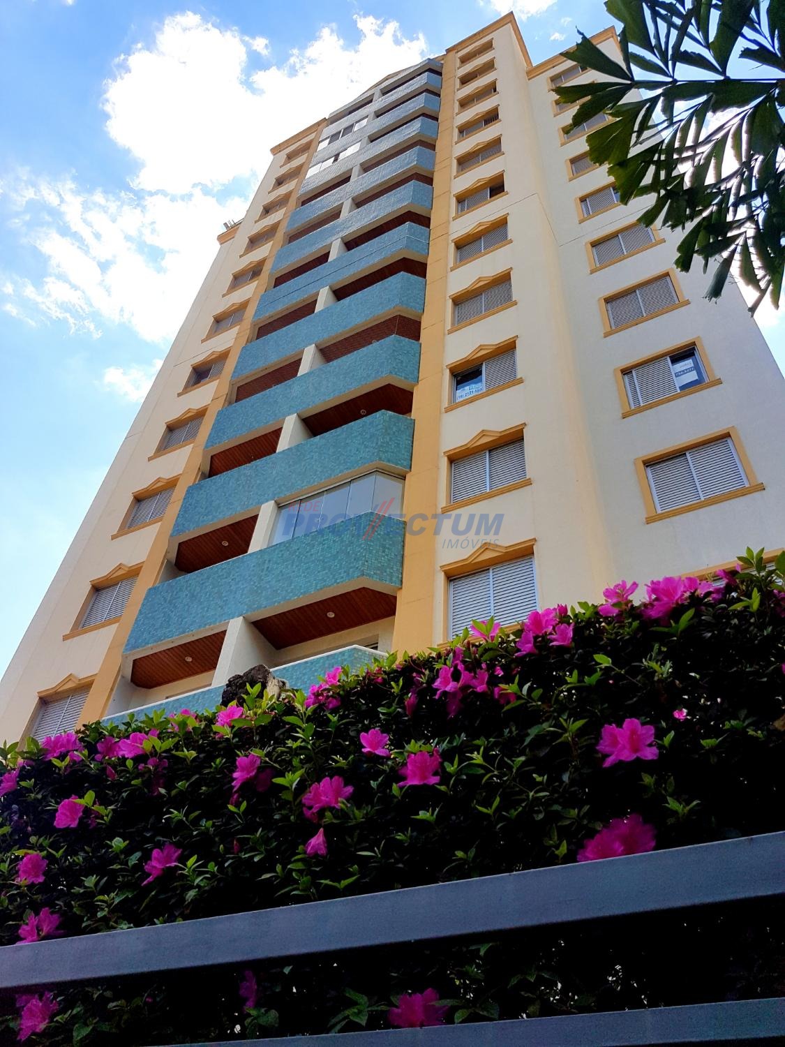 AP000204 | Apartamento venda Cambuí | Campinas/SP