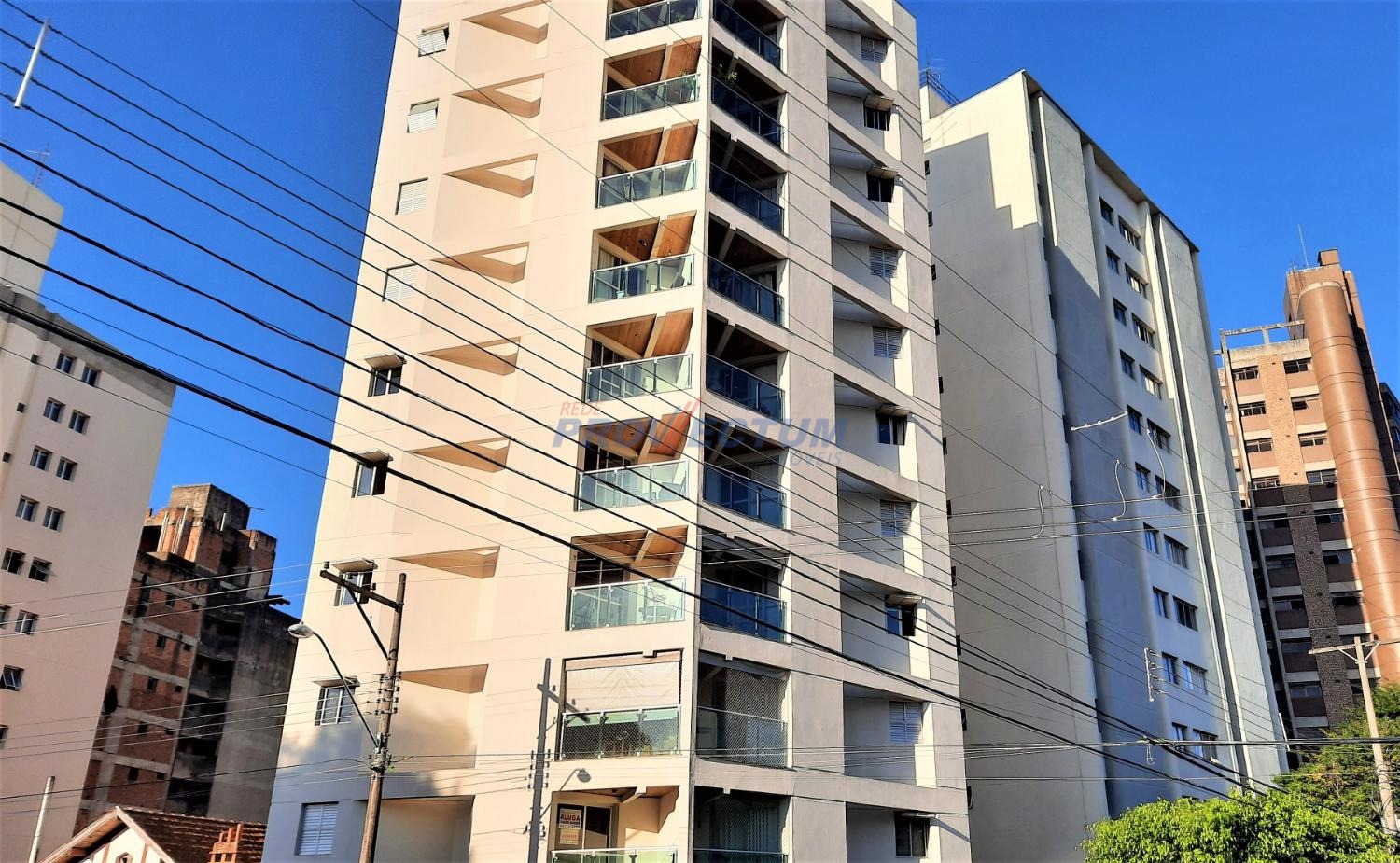 AP239670 | Apartamento venda Jardim Proença | Campinas/SP