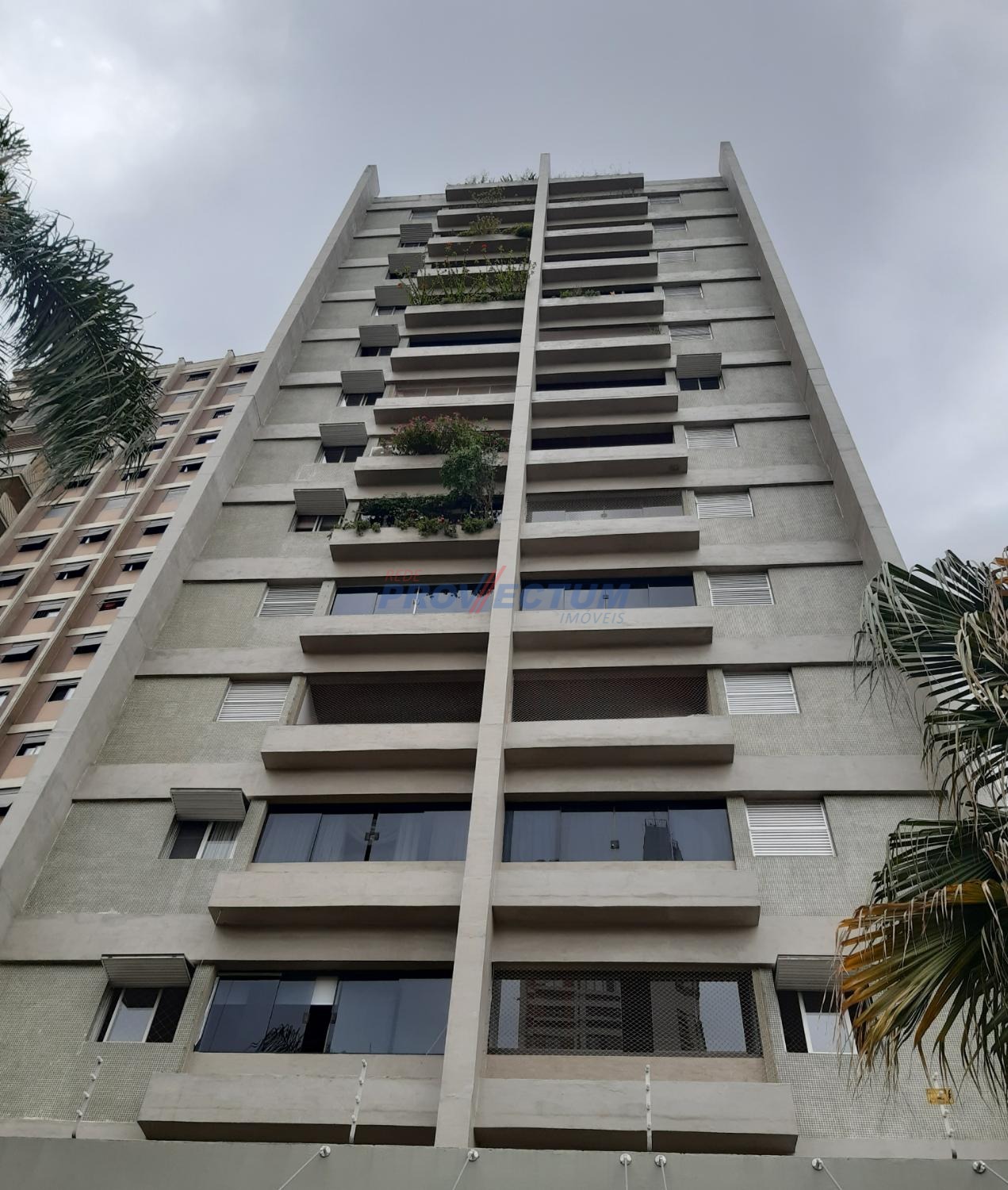 AP251941 | Apartamento venda Cambuí | Campinas/SP