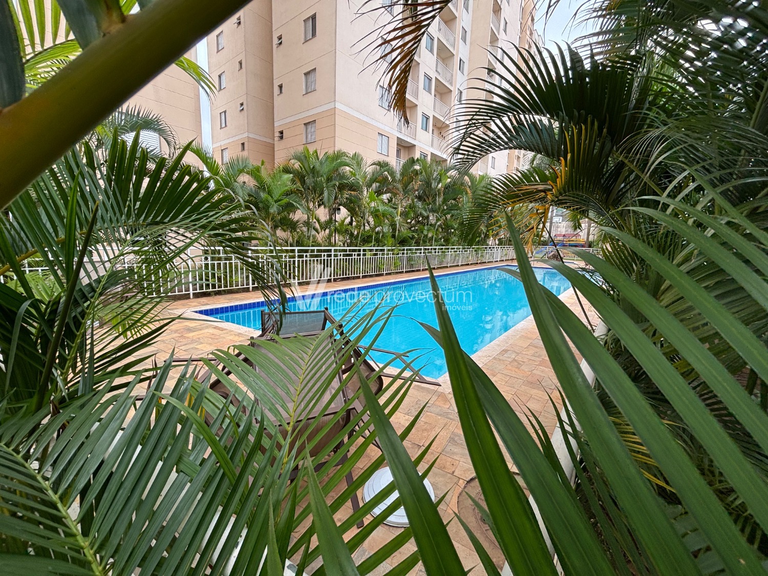 AP261623 | Apartamento aluguel Bonfim | Campinas/SP