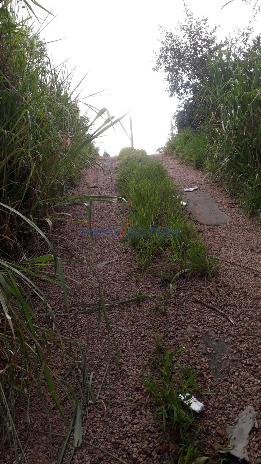 TE264636 | Terreno venda Dois Córregos | Valinhos/SP