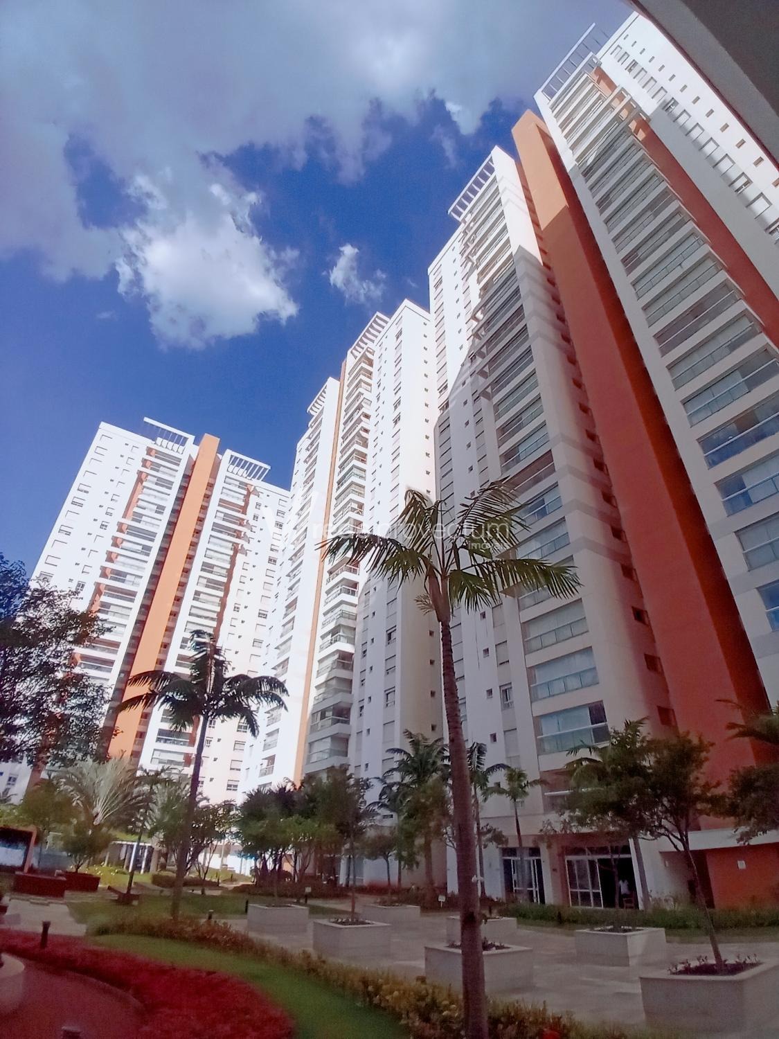 AP268071 | Apartamento aluguel Taquaral | Campinas/SP