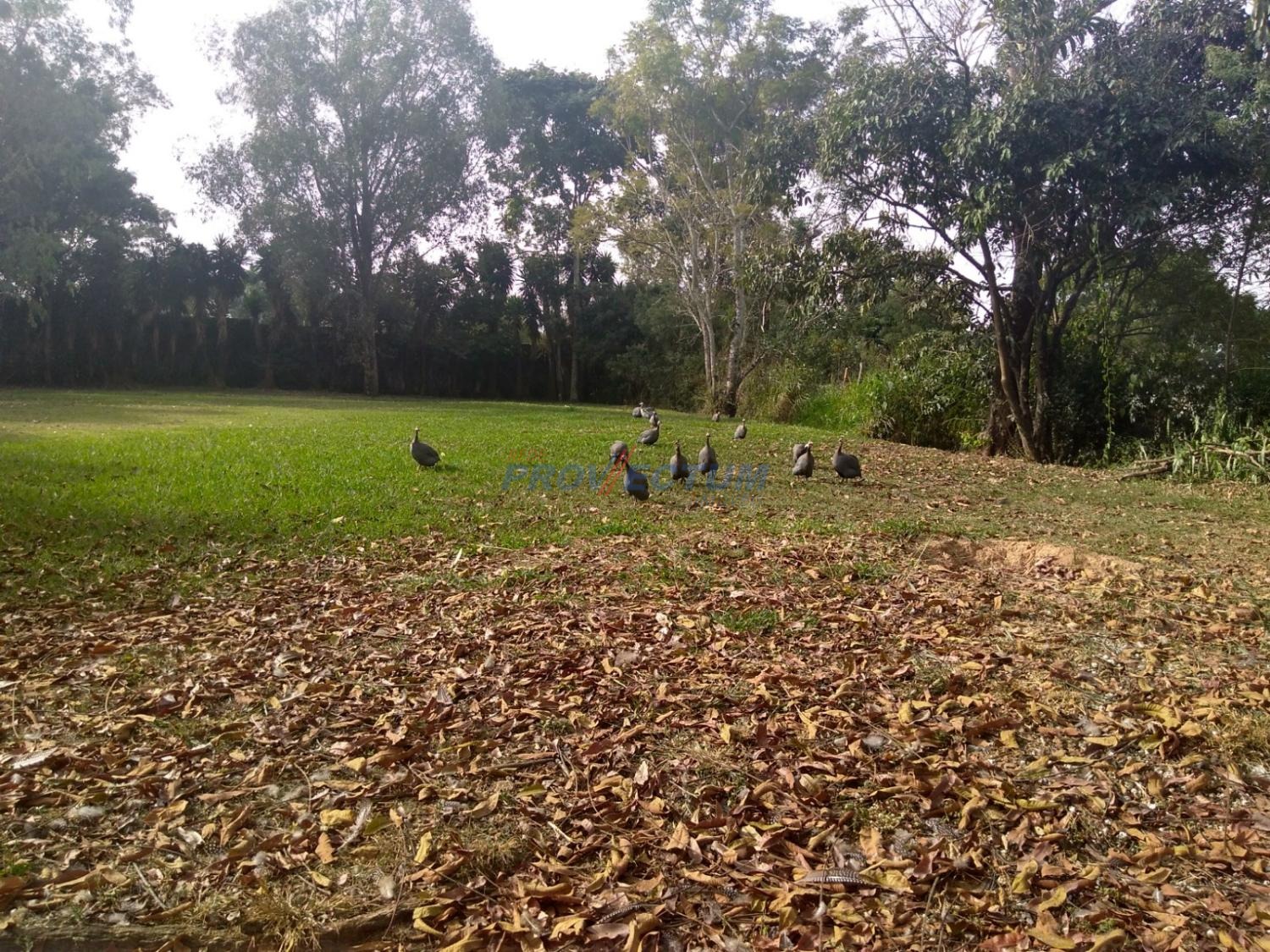 CH269826 | Chácara venda Joapiranga | Valinhos/SP