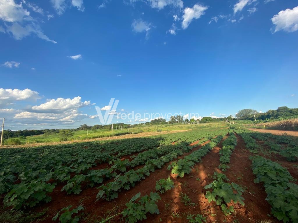 AR294838 | Área venda Betel | Paulínia/SP