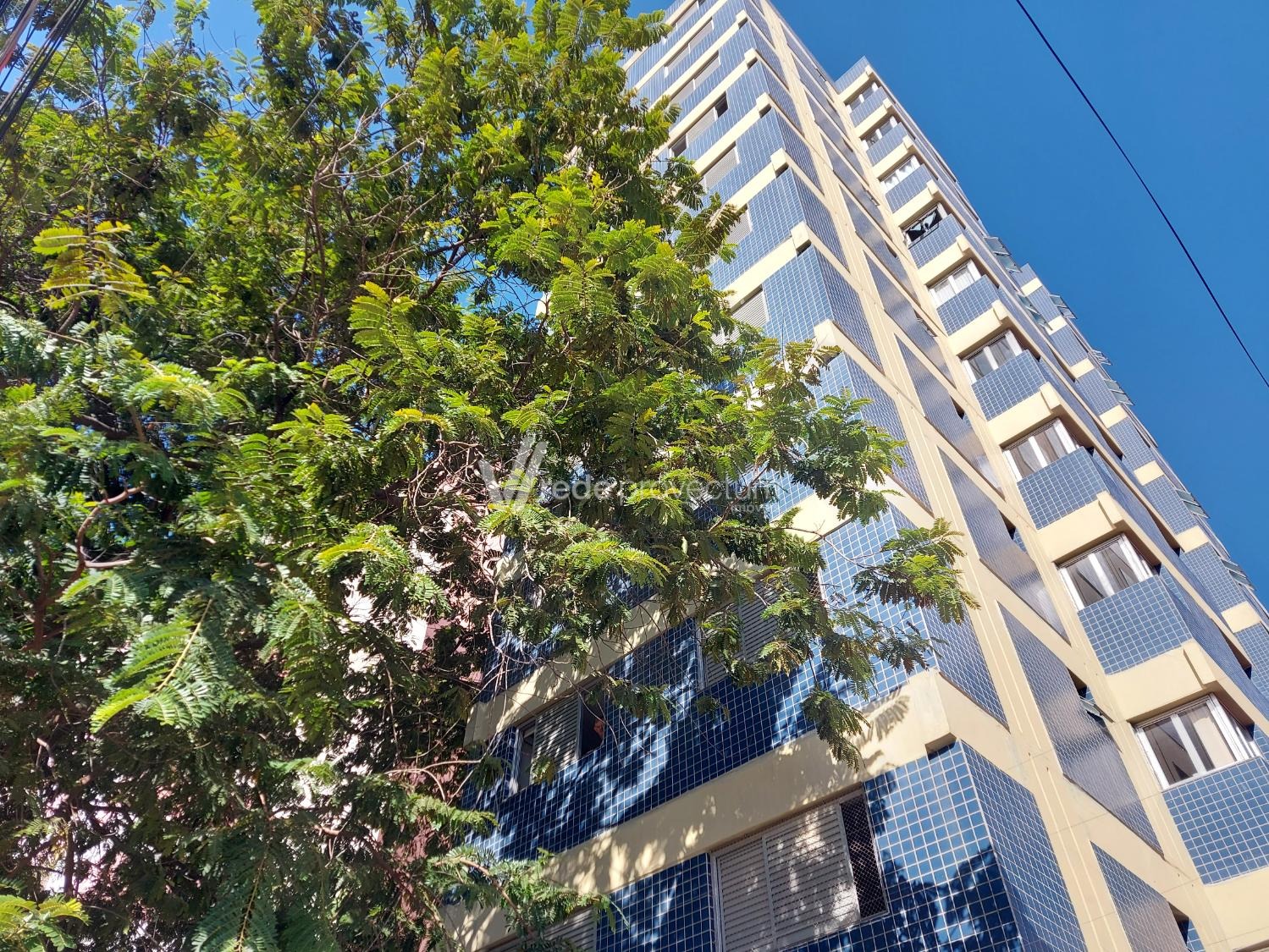 AP295936 | Apartamento venda Vila Itapura | Campinas/SP