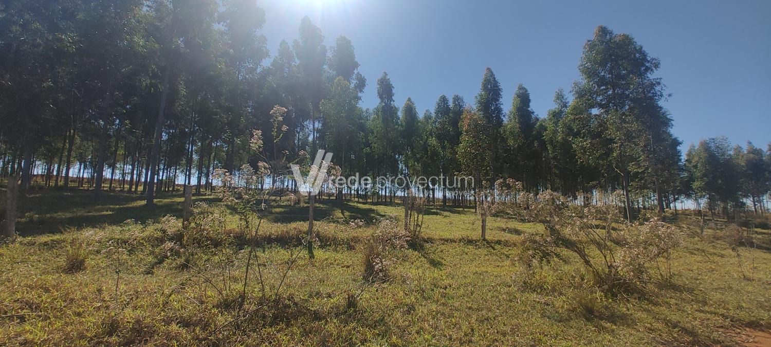TE295959 | Terreno venda Bonfim | Paulínia/SP