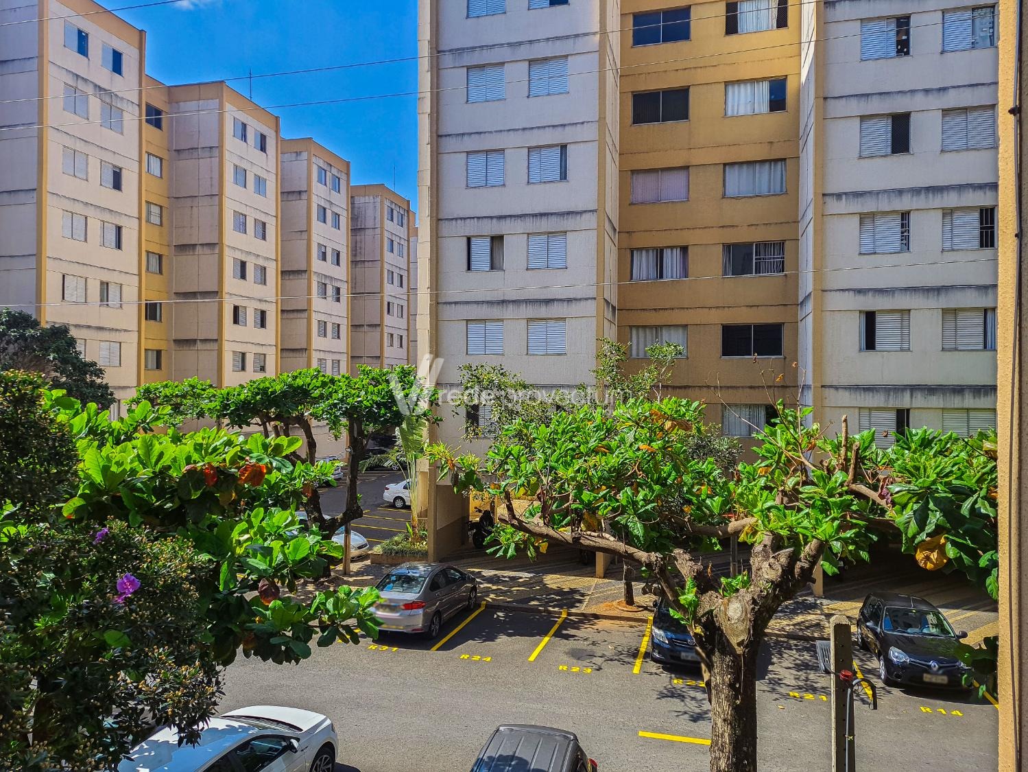 AP303979 | Apartamento venda Taquaral | Campinas/SP