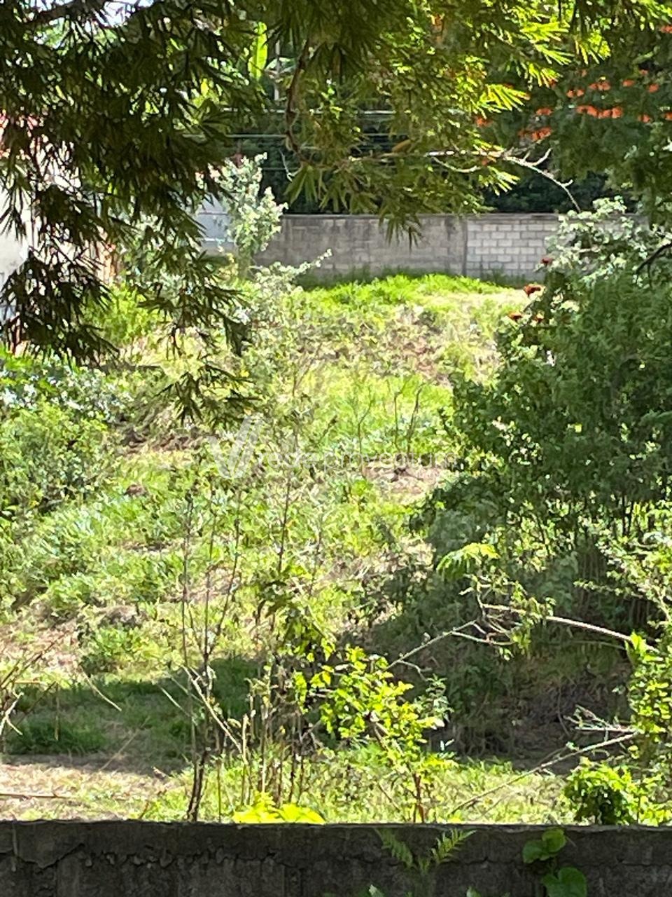 TE307703 | Terreno venda Vila Ipê | Campinas/SP