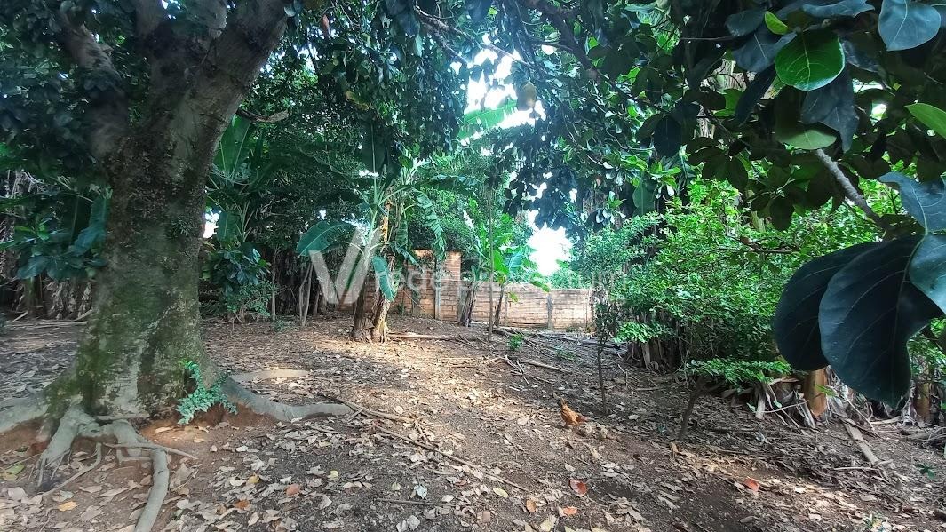 TE308501 | Terreno venda Jardim Celani | Valinhos/SP