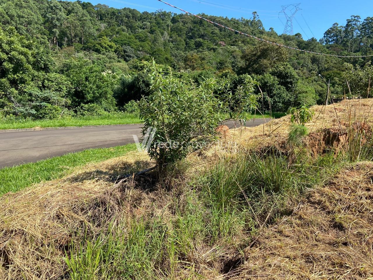 TE309639 | Terreno venda Joaquim Egídio | Campinas/SP