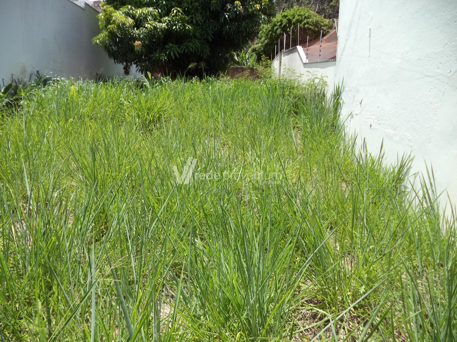 TE312895 | Terreno venda Taquaral | Campinas/SP