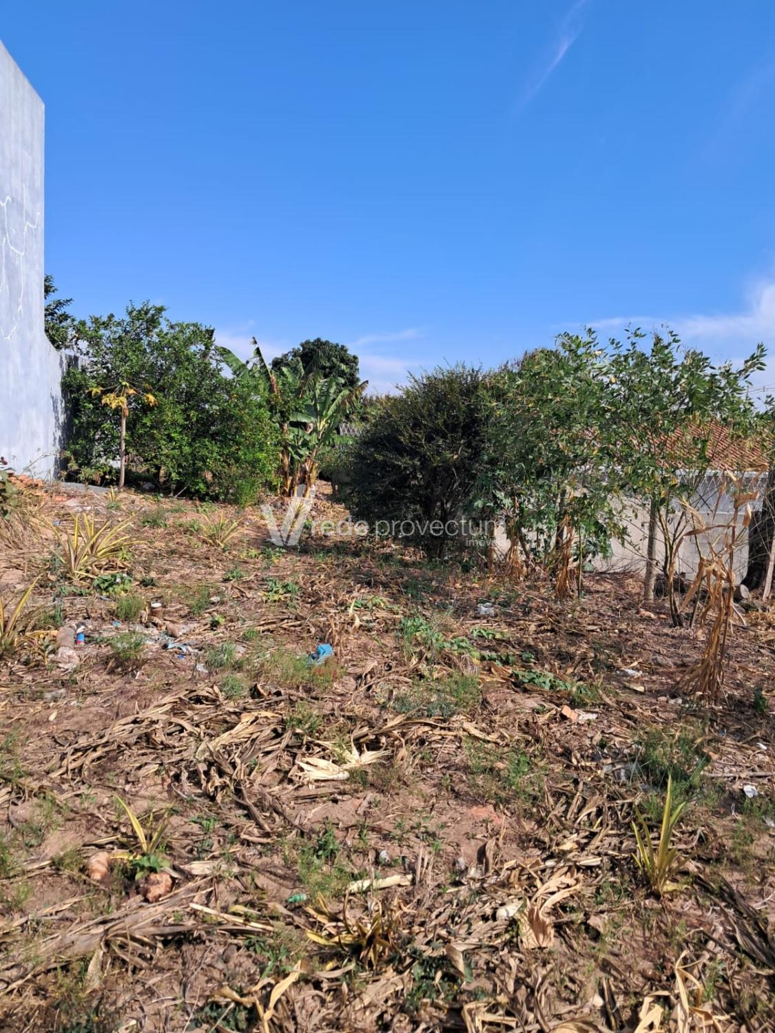 TE318022 | Terreno venda Cidade Satélite Íris | Campinas/SP