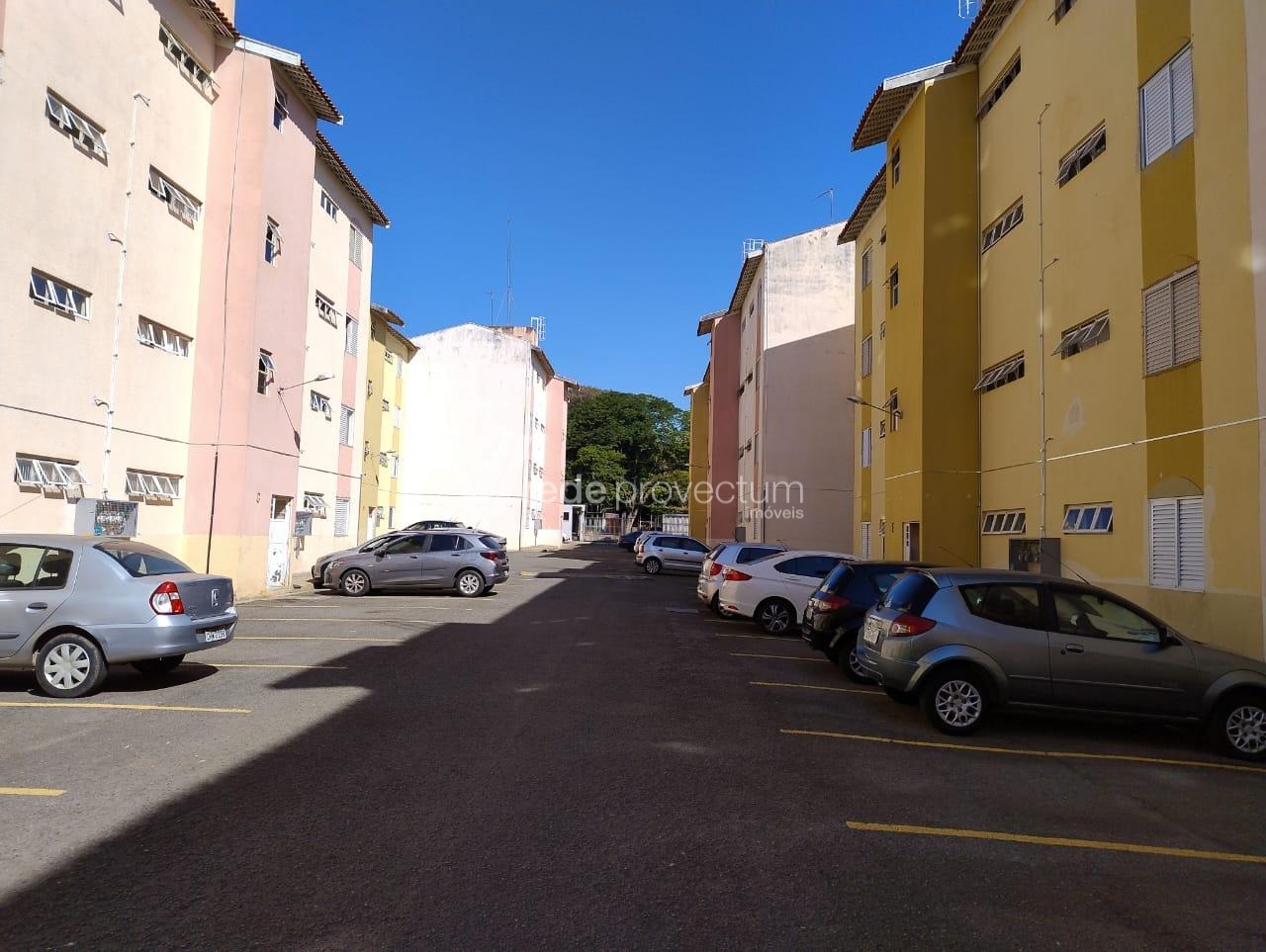 AP318263 | Apartamento venda Jardim Flamboyant | Campinas/SP