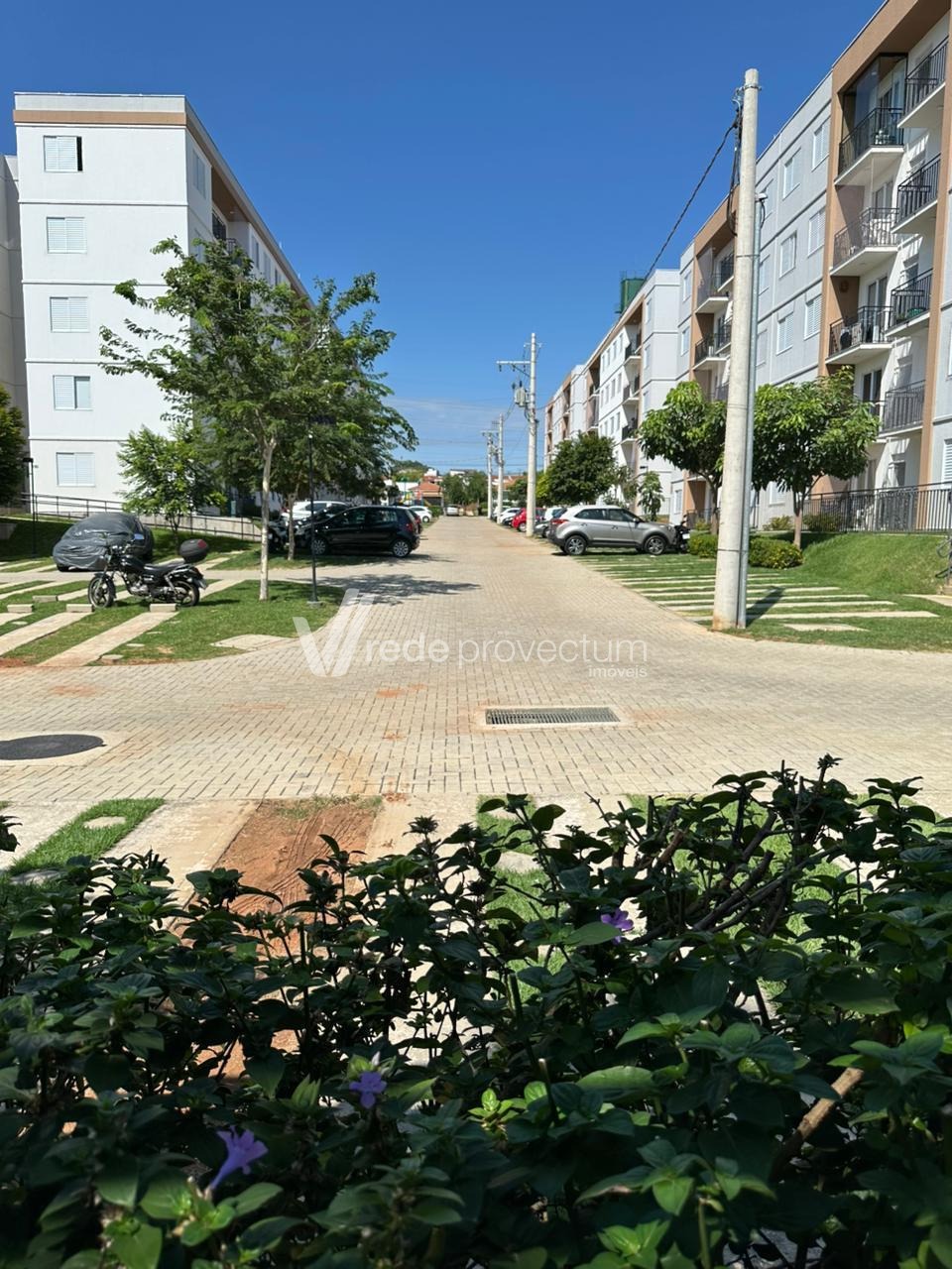 AP318293 | Apartamento venda Jardim García | Campinas/SP