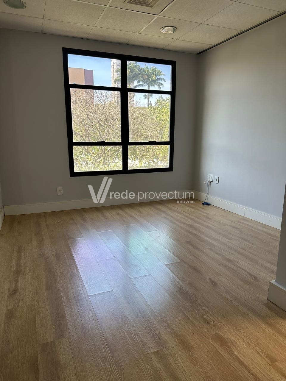SA318455 | Sala aluguel Cambuí | Campinas/SP