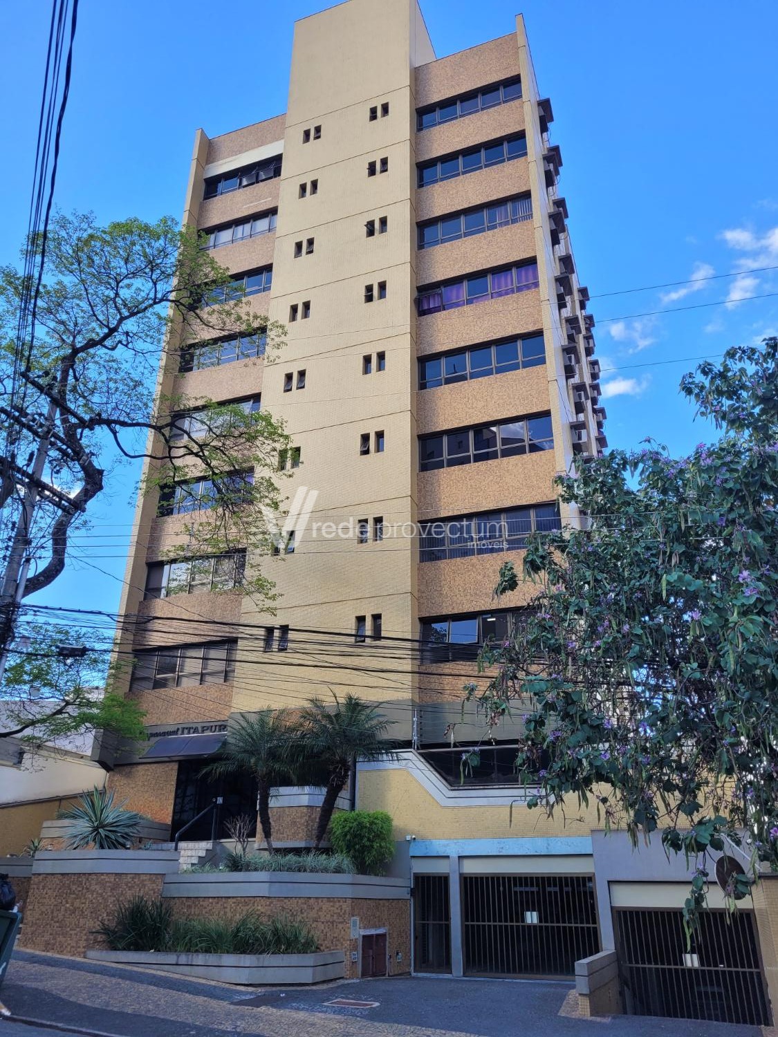 SA318702 | Sala aluguel Centro | Campinas/SP
