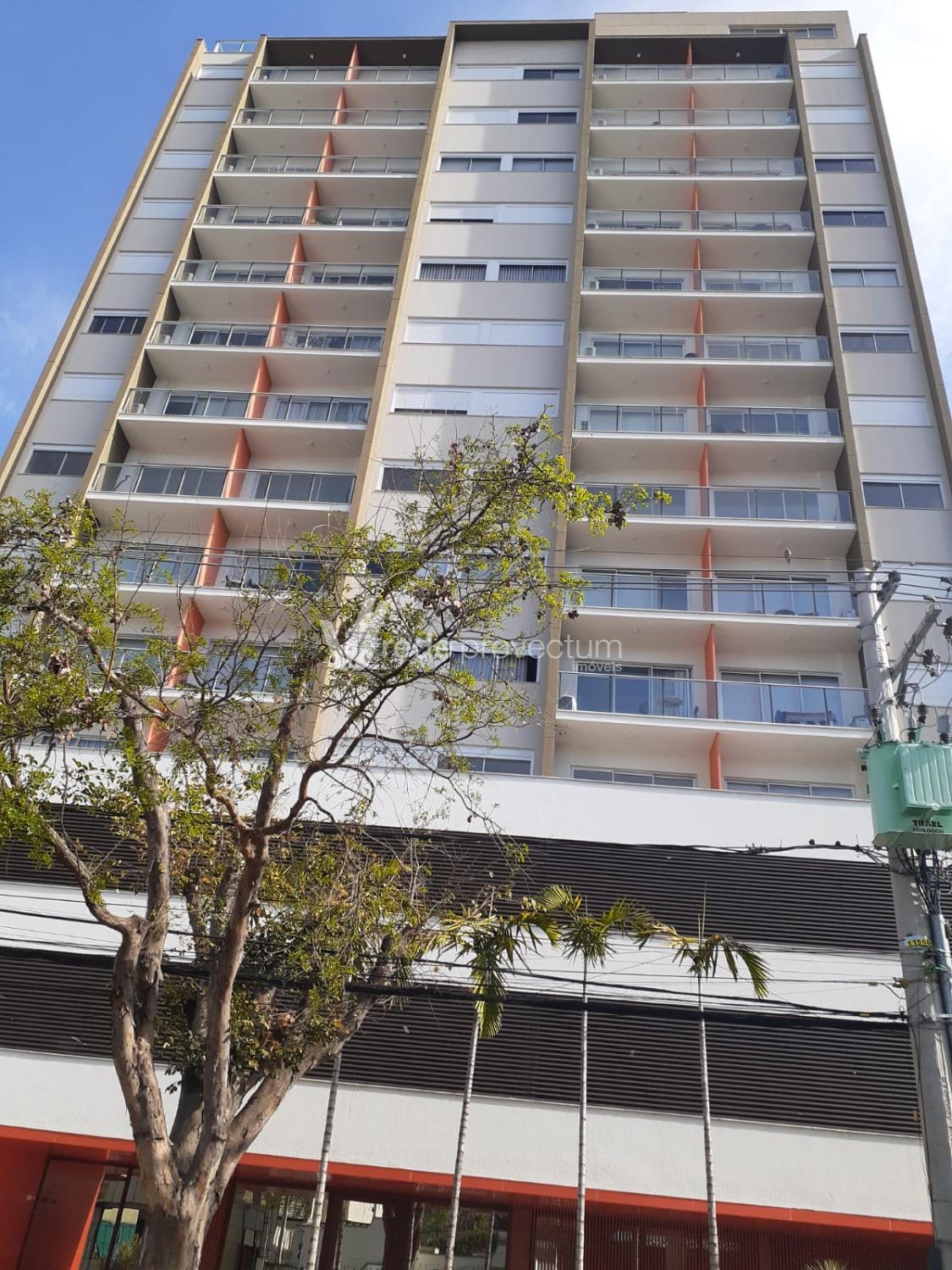 AP319131 | Apartamento aluguel Cambuí | Campinas/SP