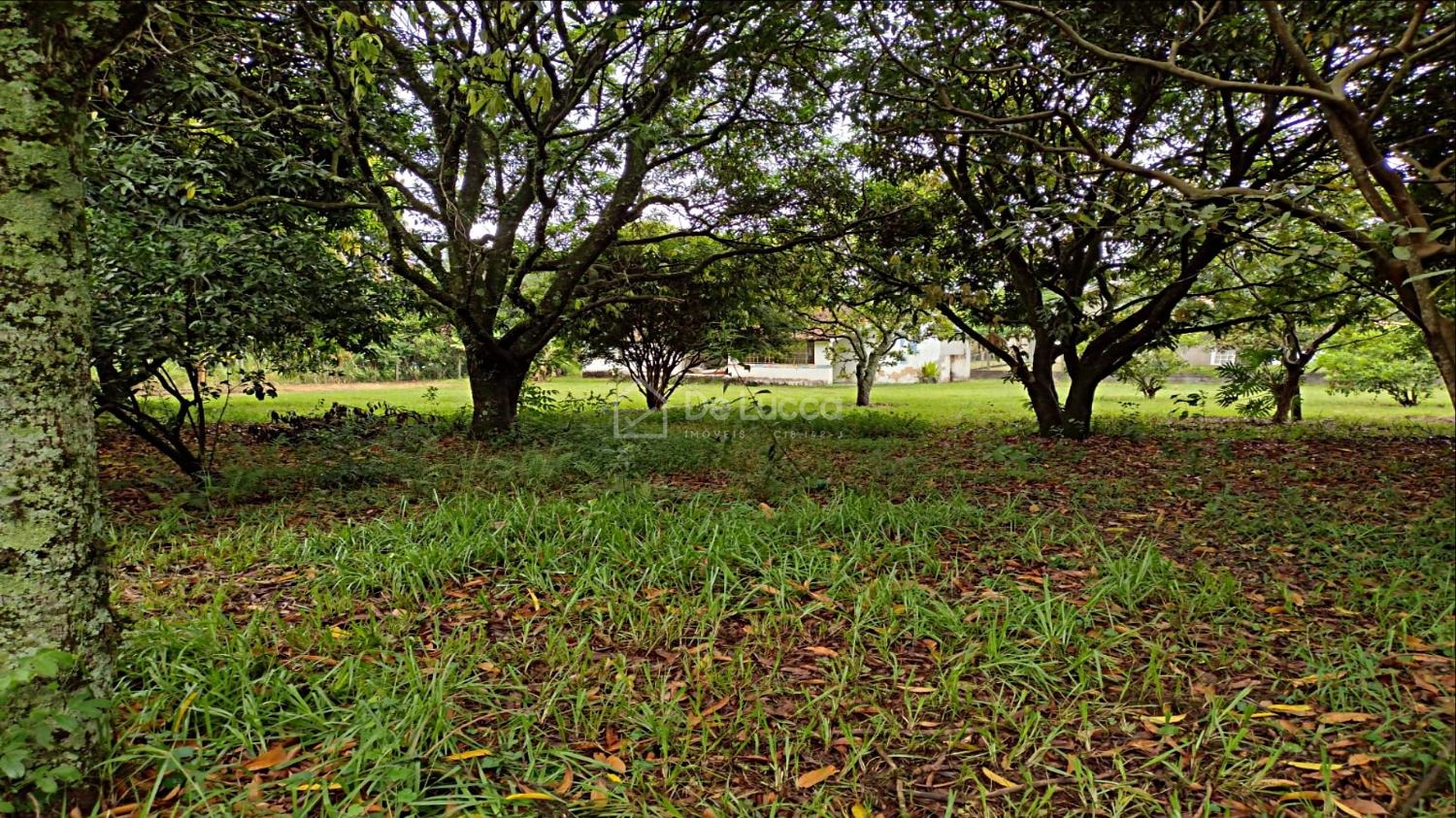 CH026685 | Chácara venda Loteamento Chácaras Vale das Garças | Campinas/SP