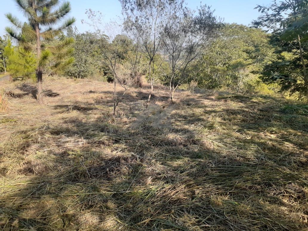 TE007717 | Terreno venda Joaquim Egídio | Campinas/SP