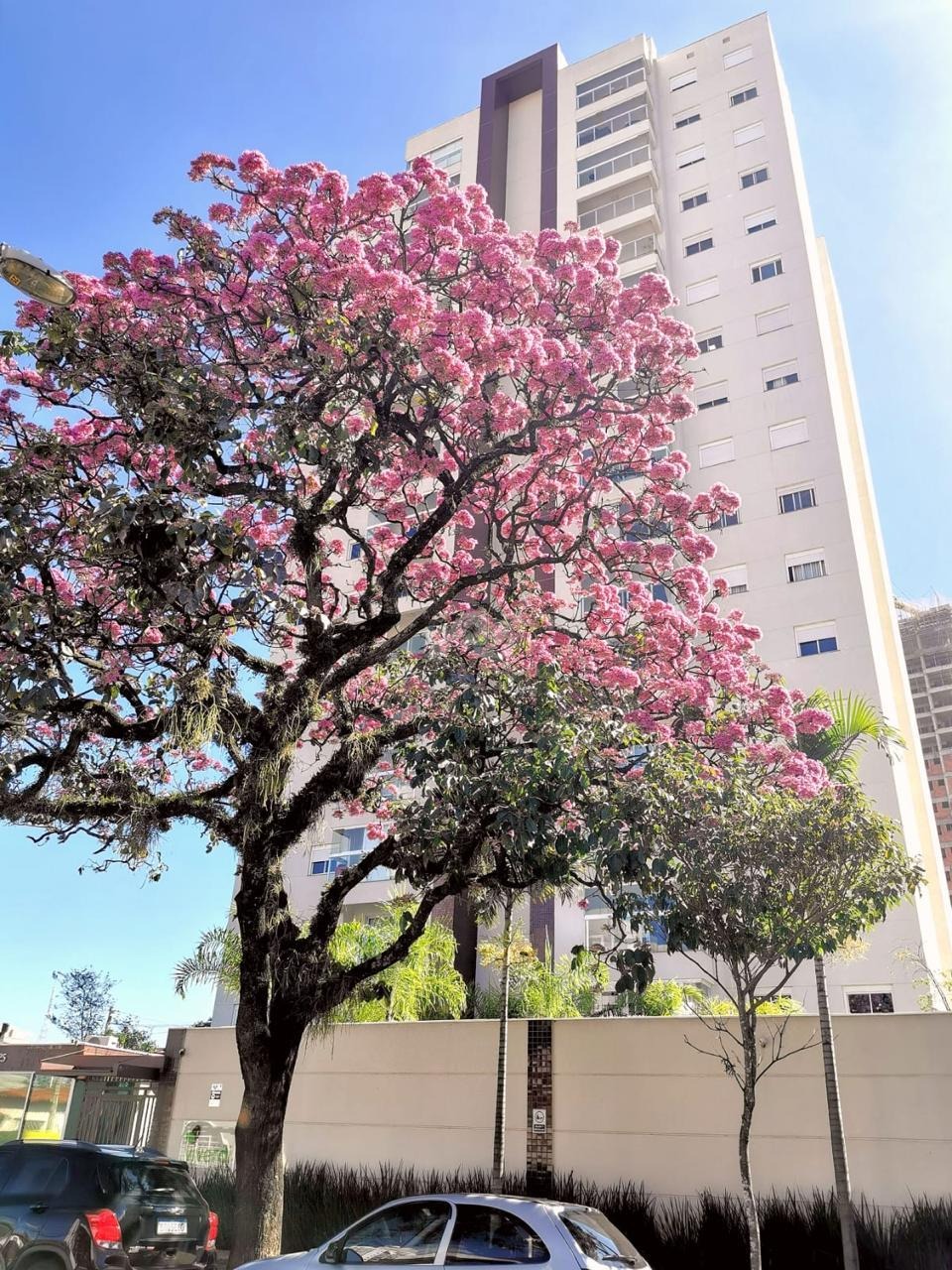 AP021604 | Apartamento venda Jardim Brasil | Campinas/SP