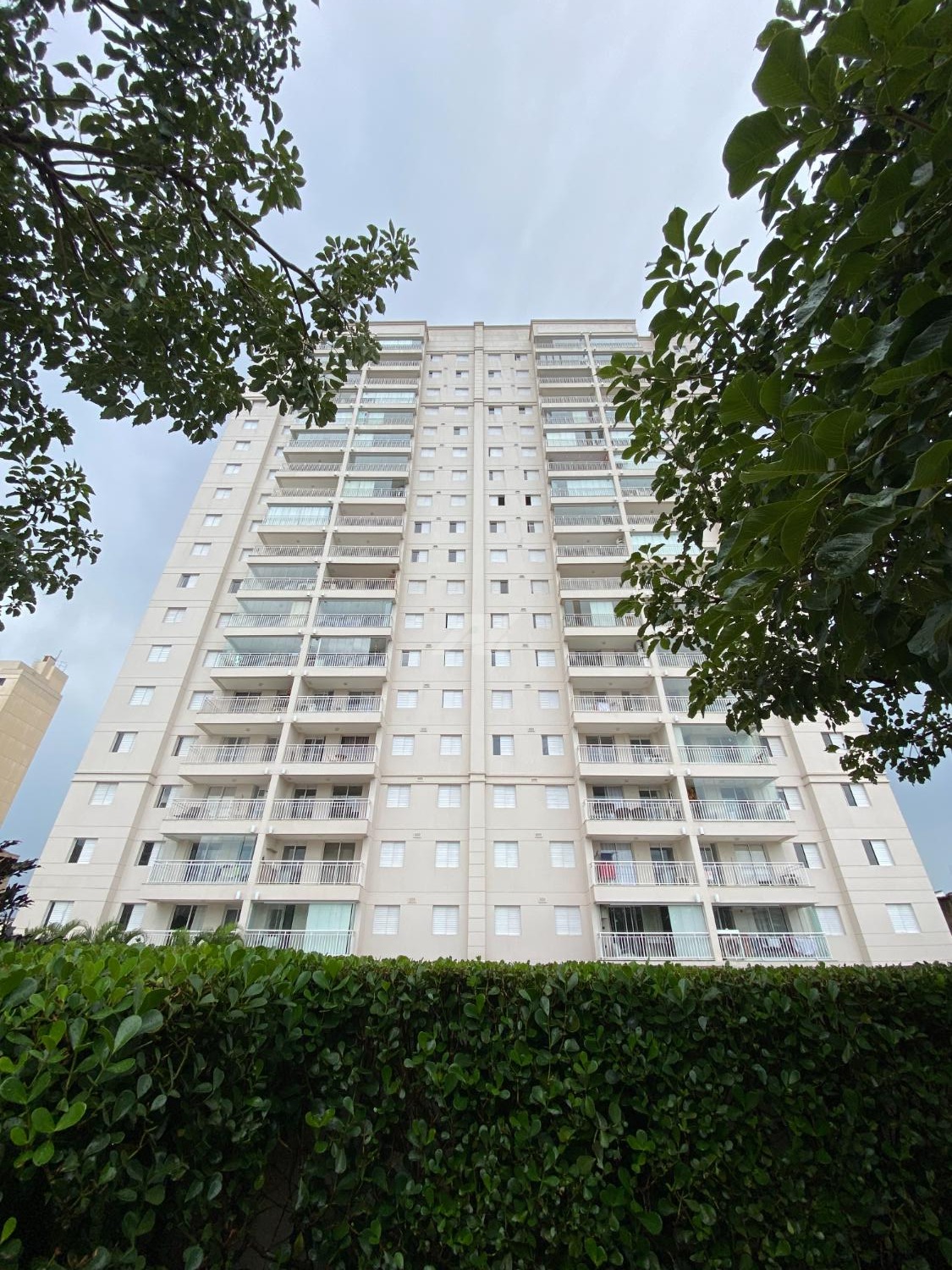 AP024049 | Apartamento venda Bosque | Campinas/SP