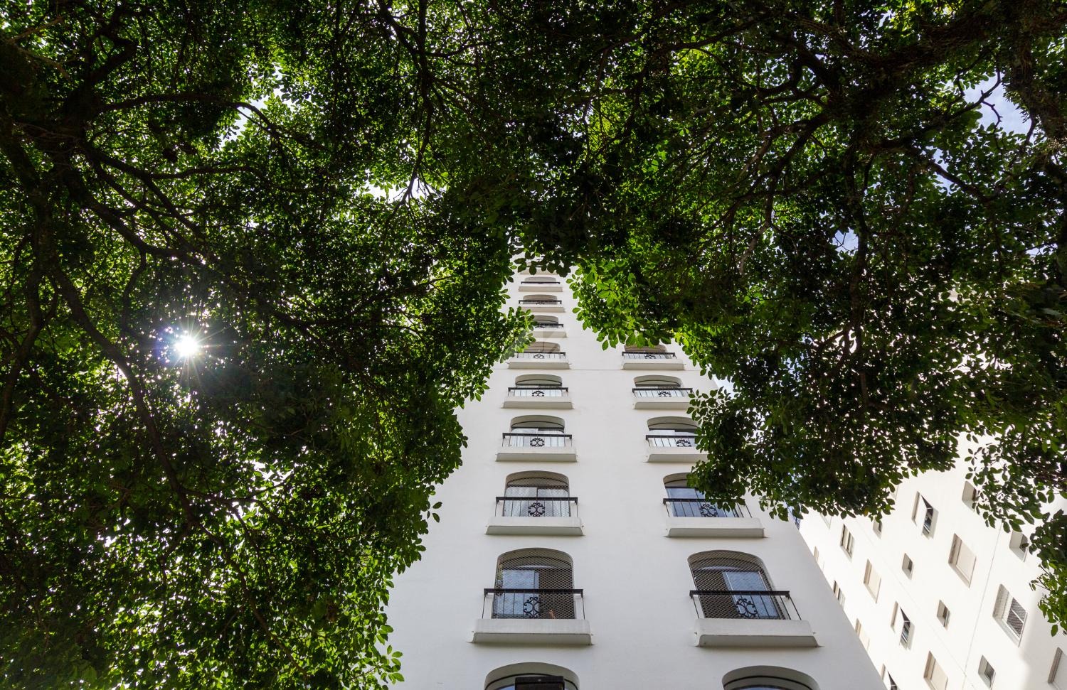 AP024326 | Apartamento aluguel Cambuí | Campinas/SP