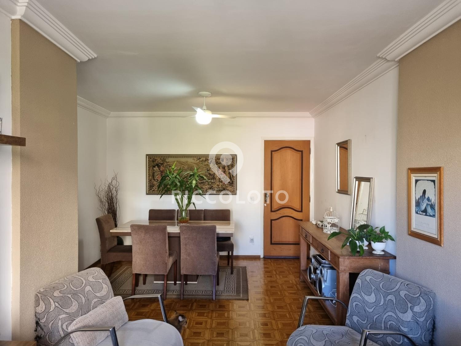 Piccoloto -Apartamento à venda no Vila Paraíso em Campinas