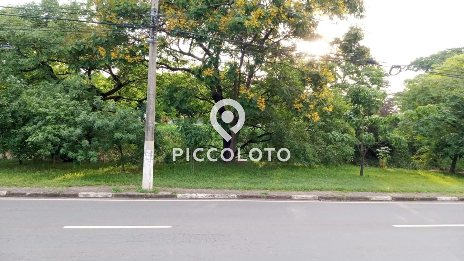 Piccoloto -Galpão à venda no Jardim Leonor em Campinas