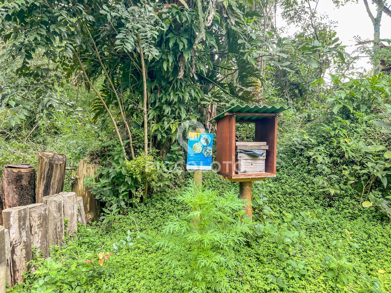 Piccoloto -Casa à venda no Jardim São Bento do Recreio em Valinhos
