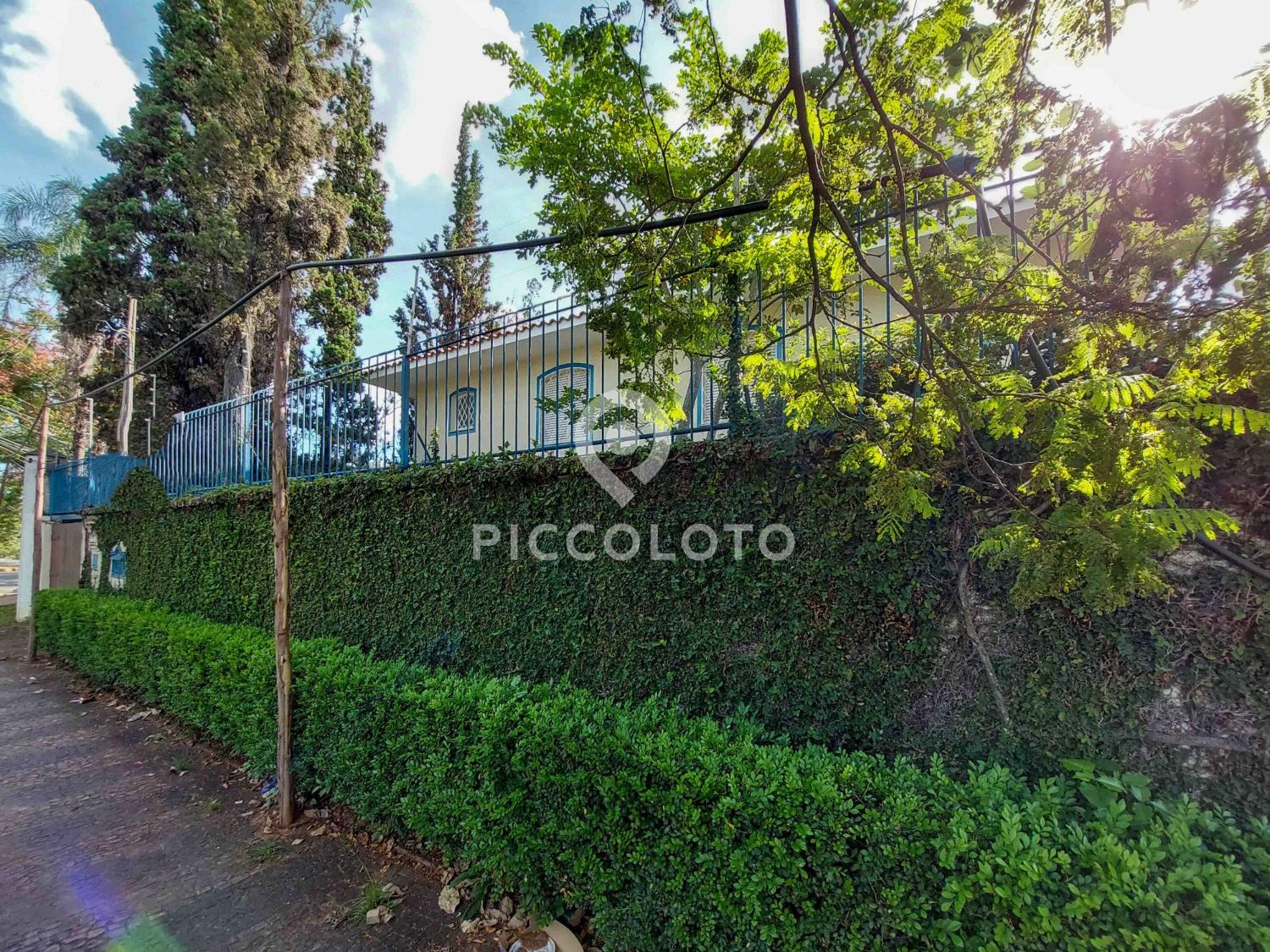 Piccoloto -Casa para alugar no Jardim das Paineiras em Campinas