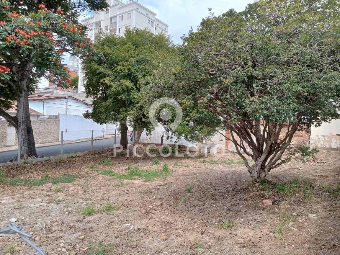 Piccoloto -Terreno à venda no Jardim Proença em Campinas