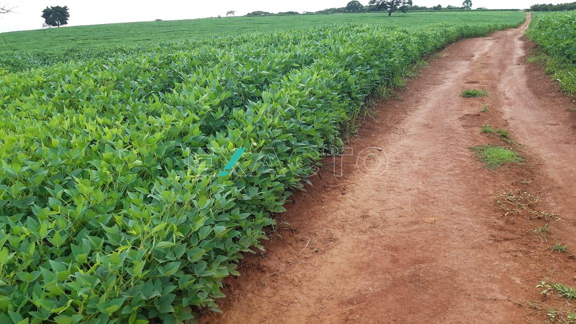 FA006315 | Fazenda venda Centro | Silvianópolis/MG