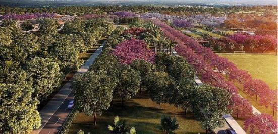 TE018936 | Terreno venda Estância das Flores | Jaguariúna/SP