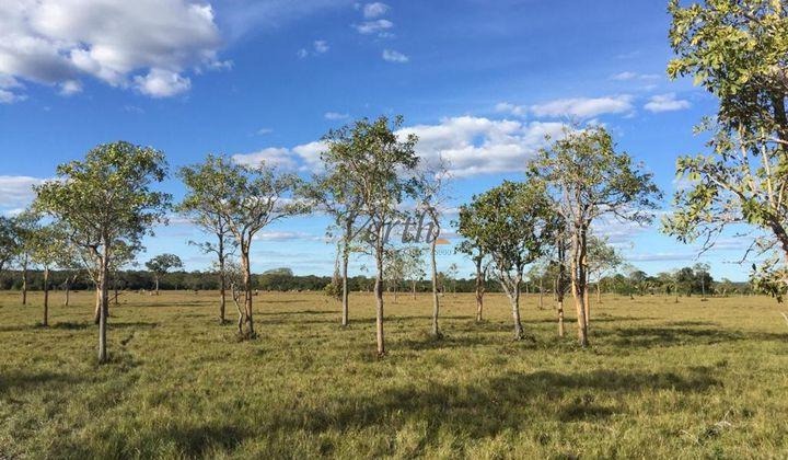 Arquivo de MG - Verth Imóveis