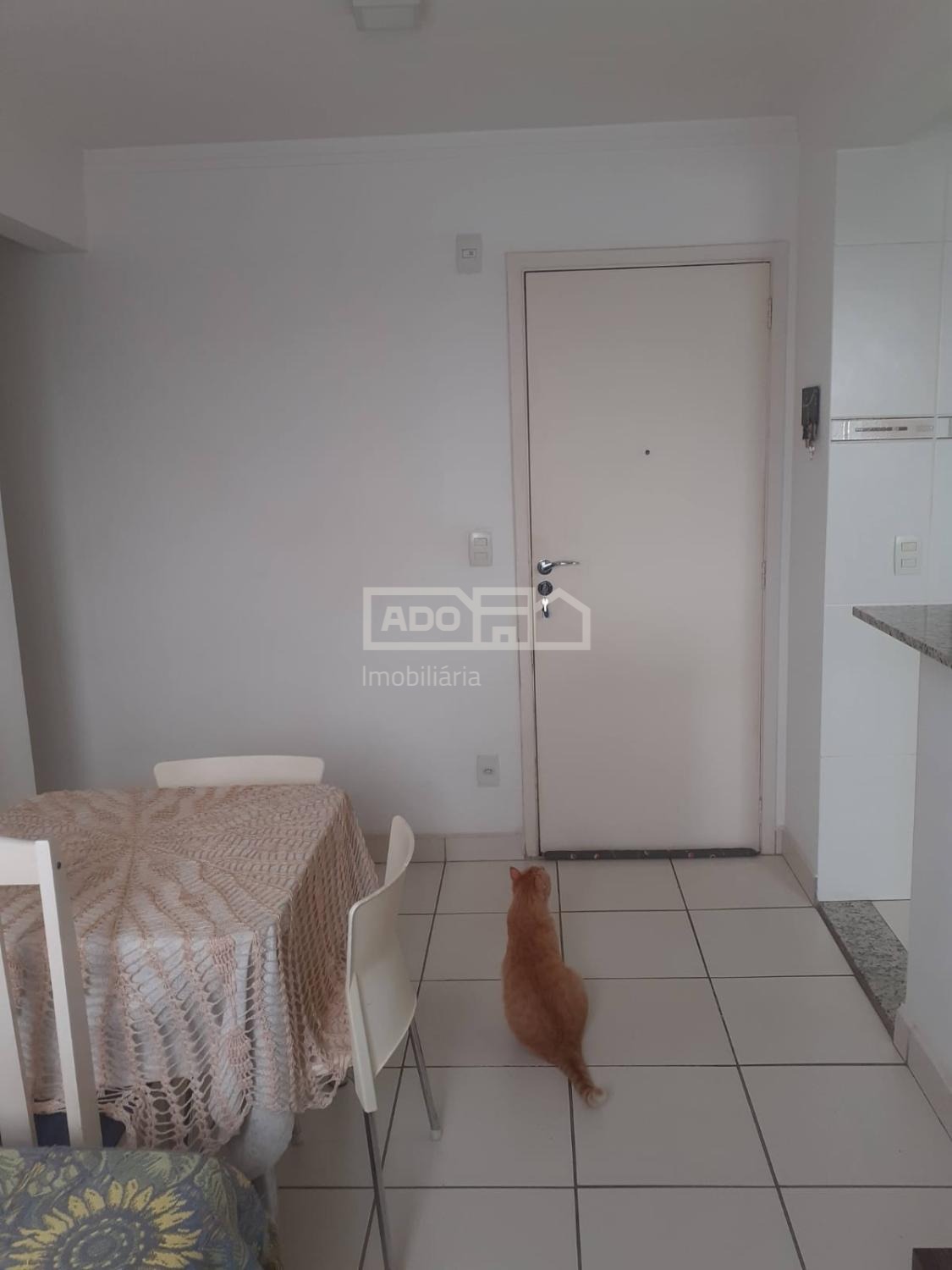 AP005703 | Apartamento venda Jardim Nova Europa | Campinas/SP AP005703 | Apartamento venda Jardim Nova Europa | Campinas/SP