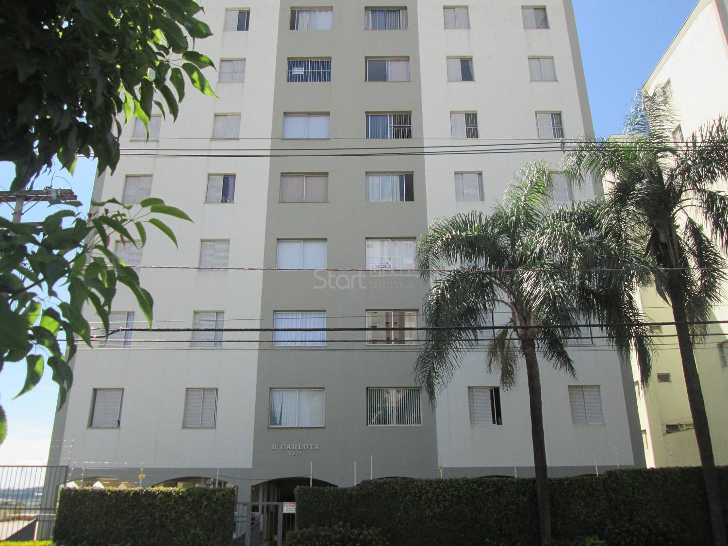 Dona Carlota Start Imóveis