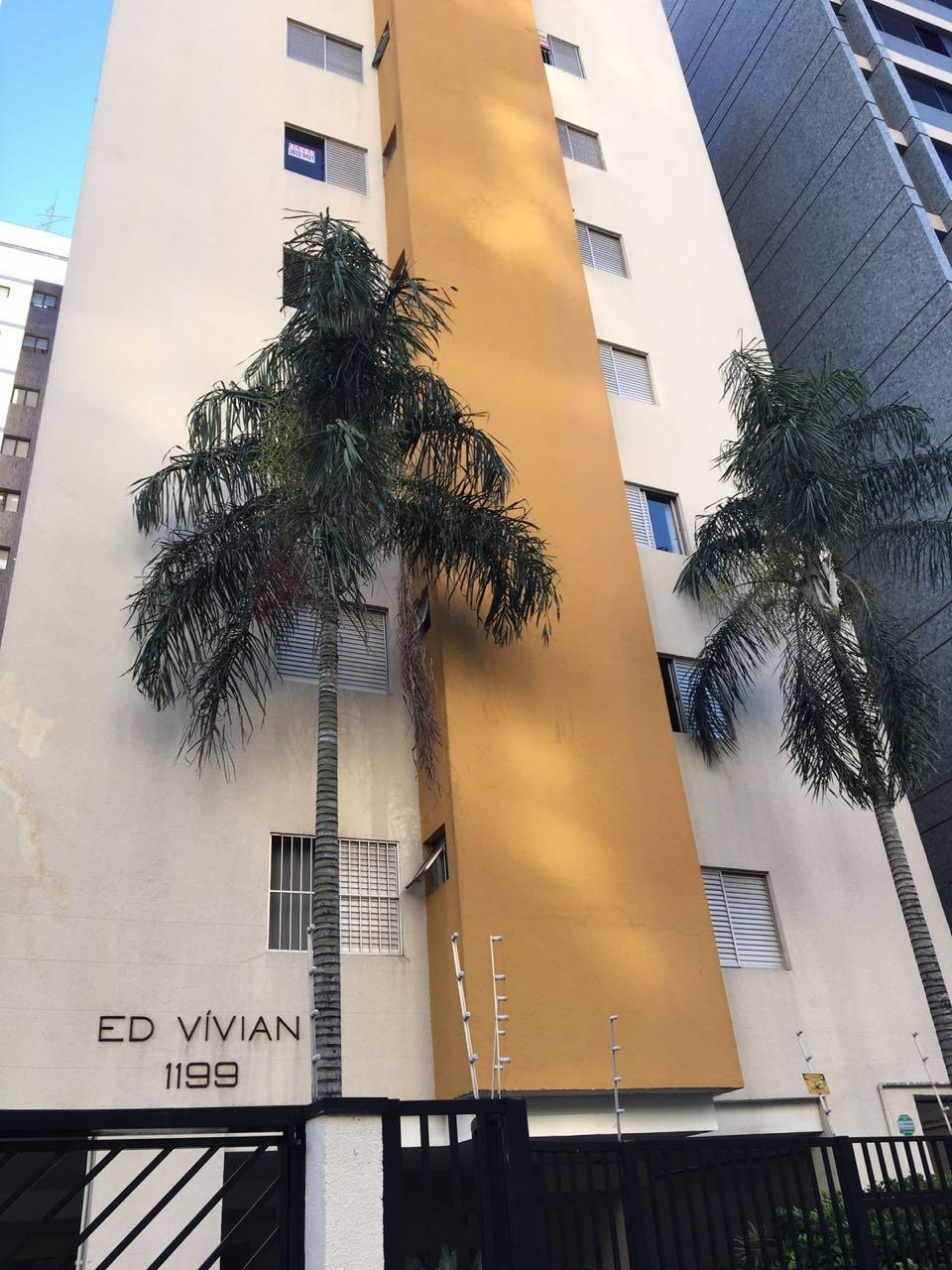 Vivian