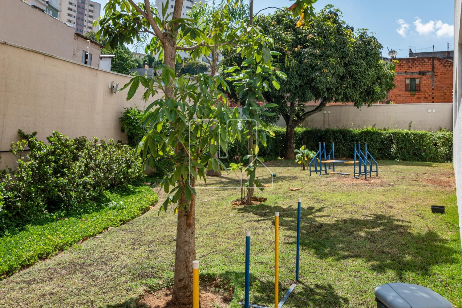 Oasis - Bosque da Saude