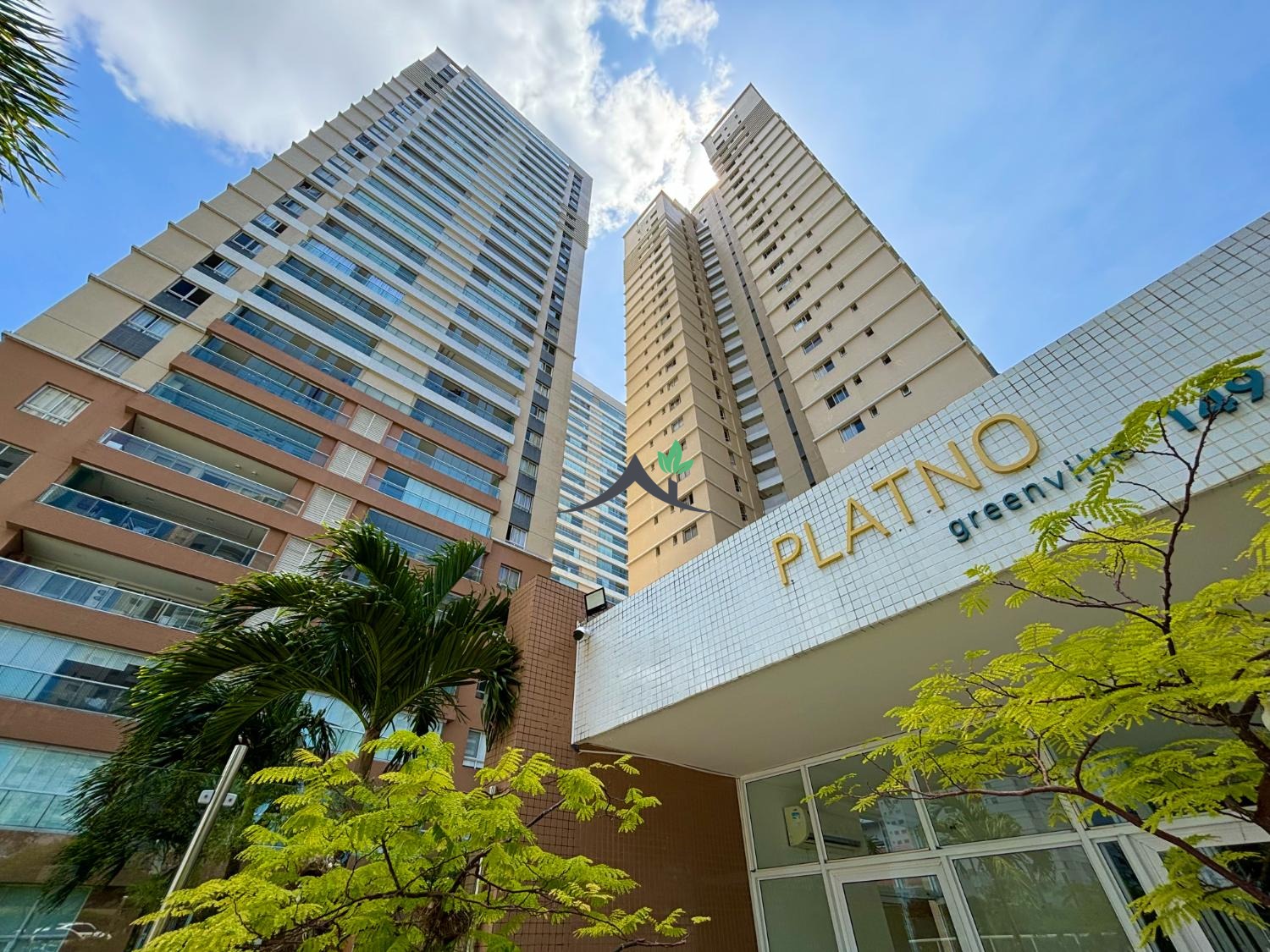 Platno Greenville