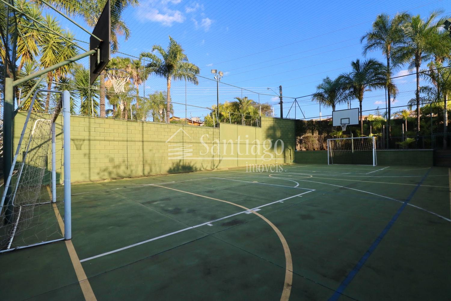 Palmeiras da Hípica Menor