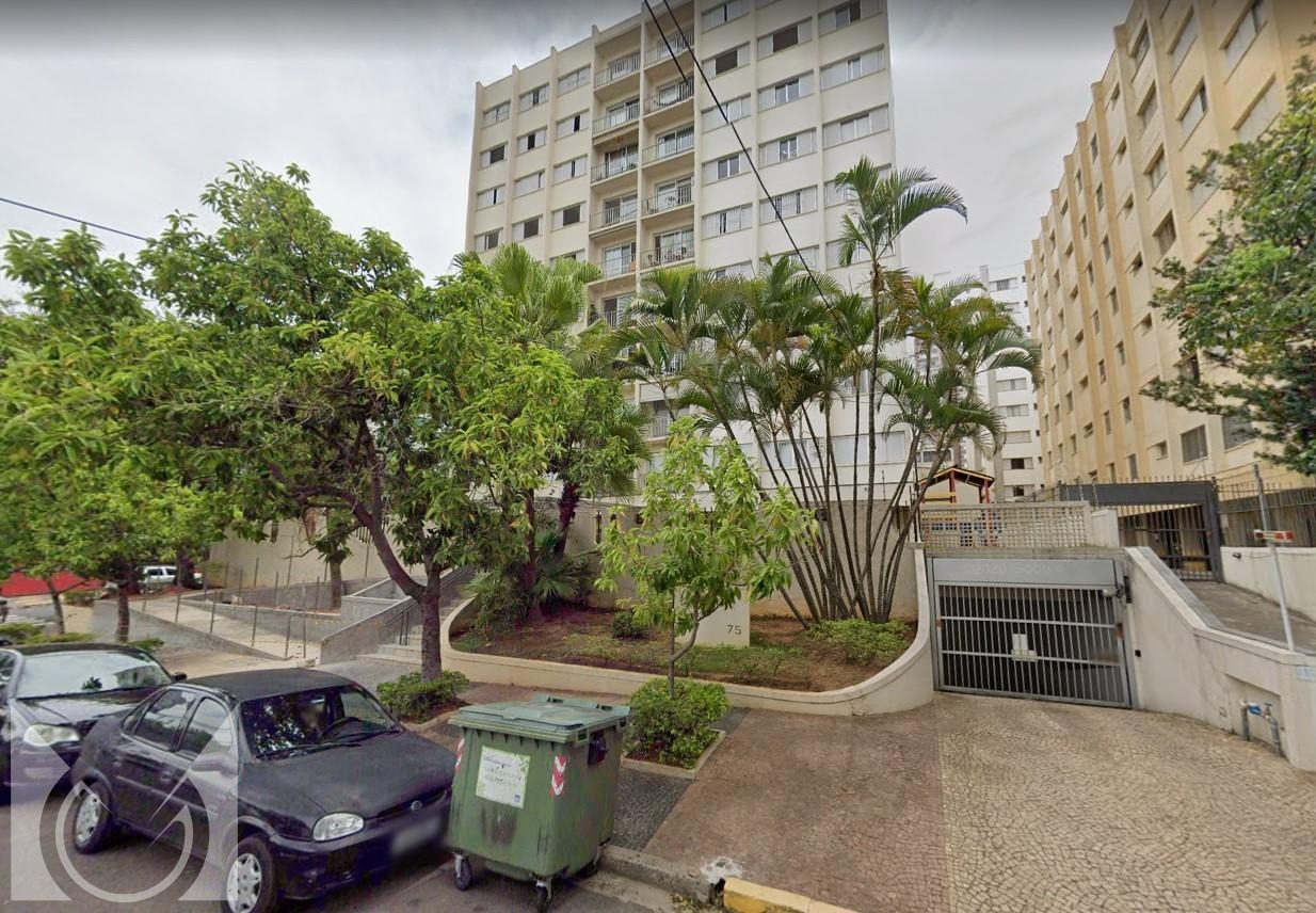 Araucária