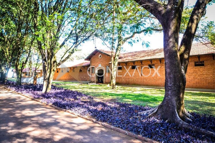Haras Patente