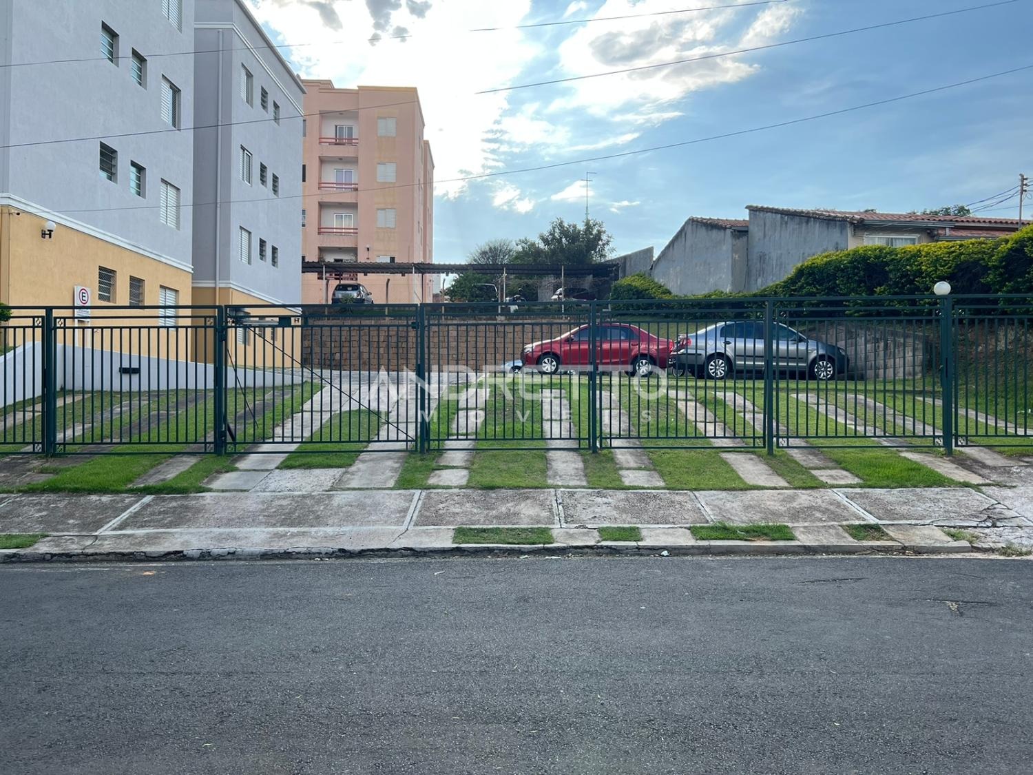 PAU BRASIL