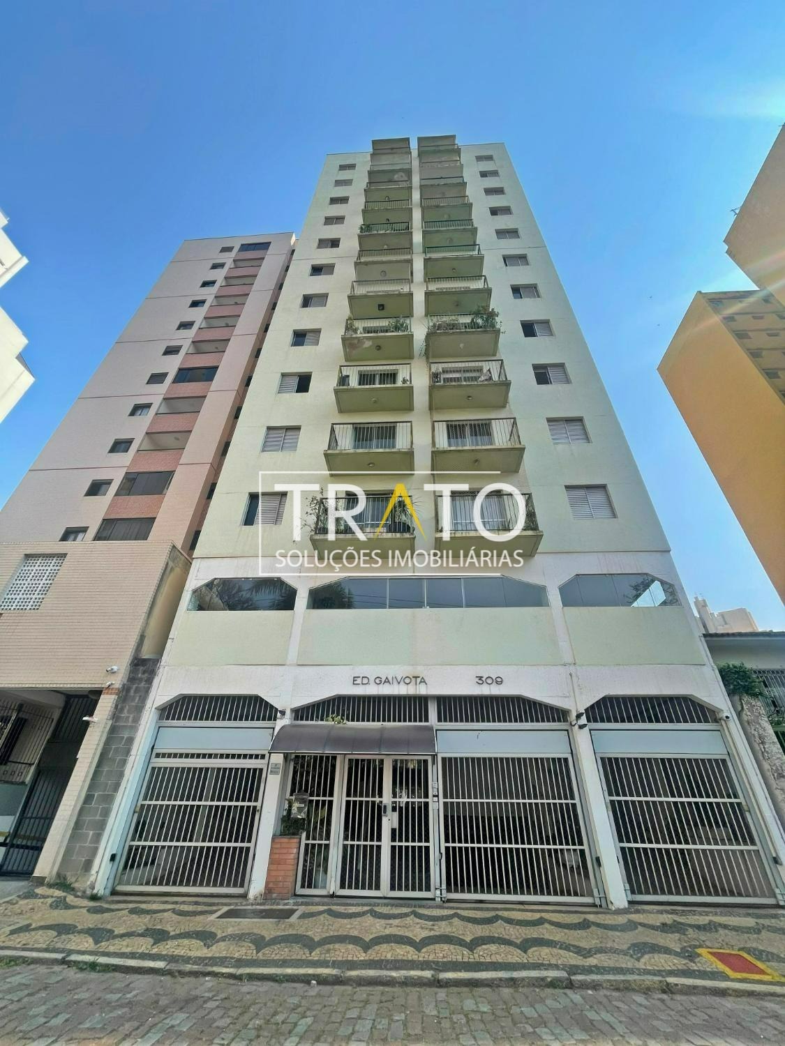 Gaivota - Botafogo