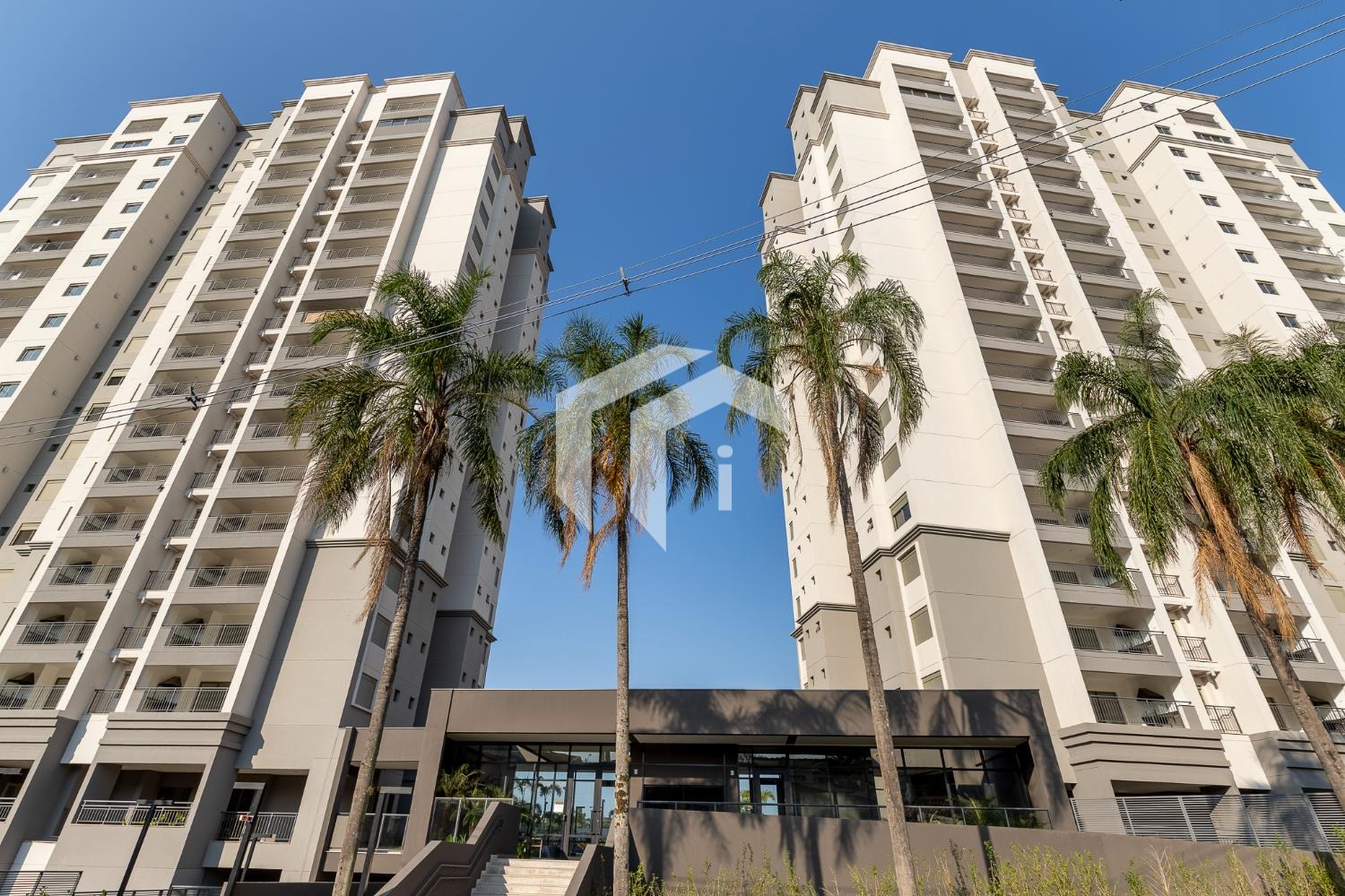 Grand Wish Grand Wish