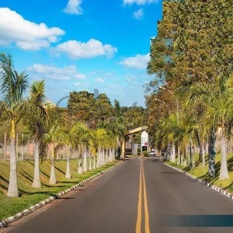 Parque Xangrilá